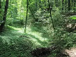 Obora (přírodní památka, okres KM) 2.jpg