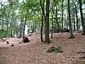 Skalky na vrcholu Žižkova vrchu