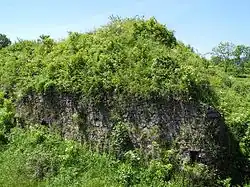 Obraz 115.jpg
