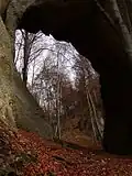 Obrovská brána