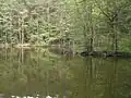 Odlezelské jezero