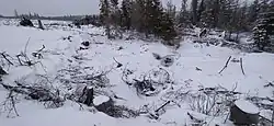 Odra, Oderské vrchy, Nízký Jeseník