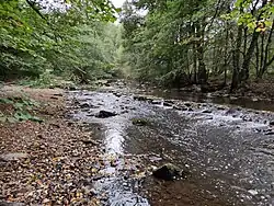brod - Odra a soutok větve Něčínského potoka