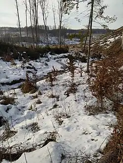 Řeka Odra pod mlýnem