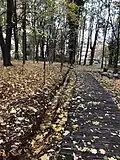 Odtok z prameniště