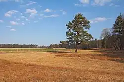 Ohrazení