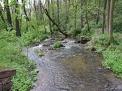 Zákolanský potok severně od Okoře