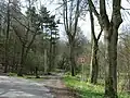 Cesta ke studánce od rozcestí pod Lemberkem