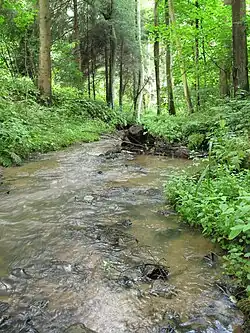 Okrouhlický potok u Dlouhého Pole