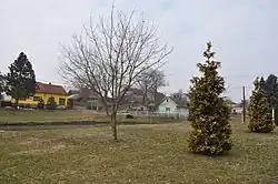 náves