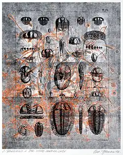 Derealizace Barrandienu, strukturální monotyp, 2002
