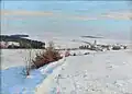 Oldřich Hlavsa - Rybná nad Zdobnicí v zimě