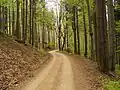 Cesta na západním úbočí Ostrého hřebenu