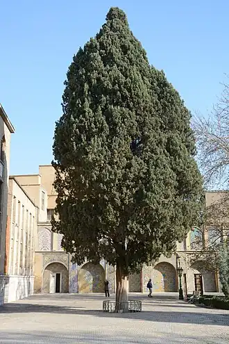 alternativní popis obrázku chybí