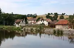 Rybník v Olešné u Pelhřimova