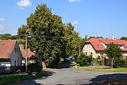 Náves