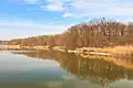 Pohled na Olešnický rybník