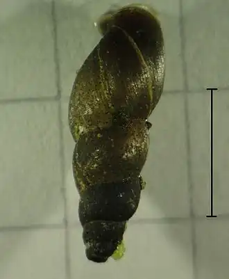alternativní popis obrázku chybí