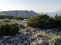 Příroda na kopci nedaleko Bošany