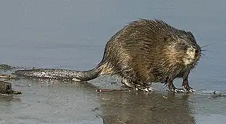 alternativní popis obrázku chybí
