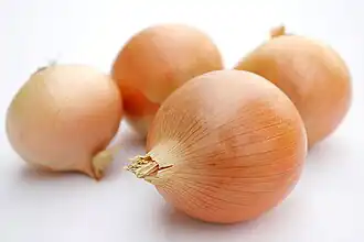 alternativní popis obrázku chybí
