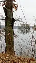 Pohled k ostrovu