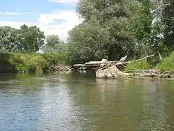 Řeka Opava pod Hájem ve Slezsku