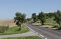 Silnice k Opočnu