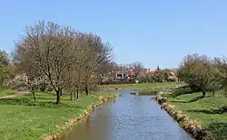 Cidlina