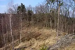 Celkový pohled