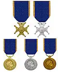 Kříže a medaile řádu