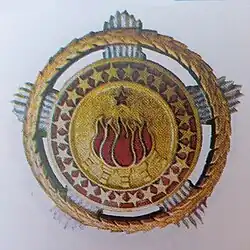 Insignie řádu I. třídy