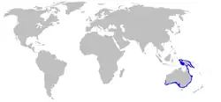 Rozšíření wobegonga queenslandského (vyznačeno modře)