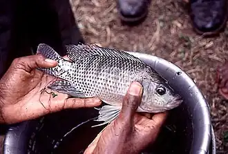 alternativní popis obrázku chybí