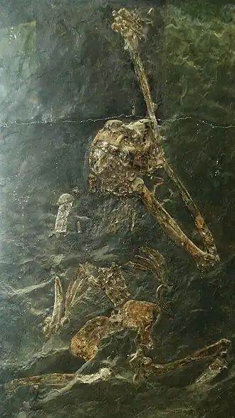 alternativní popis obrázku chybí