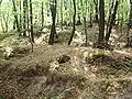 Pozůstatky hradu Orlova
