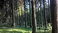 Orlovy v létě
