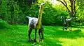 Ornithomimus