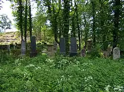 Židovský hřbitov v Oseku u Rokycan