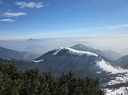 Osnica