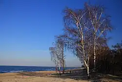 Ústí Visly