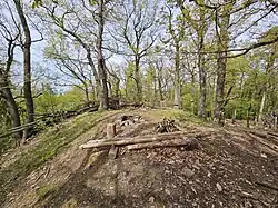 Ostrý - tvrziště na vrcholu kopce nad obcí Rpety (duben 2024) (2).jpg