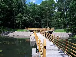 Cesta lesa