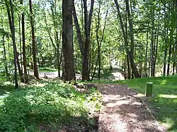 Cesta vody
