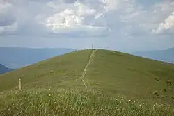 Ostredok