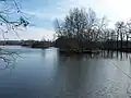 Ostrůvek na rybníku Domin