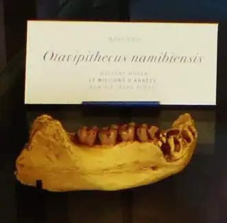 alternativní popis obrázku chybí