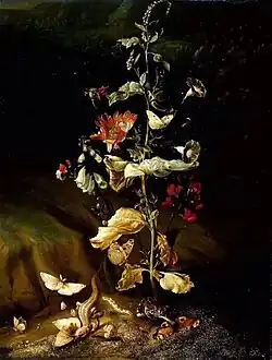 Zátiší s květinami, 1650–1678 Fitzwilliam Museum