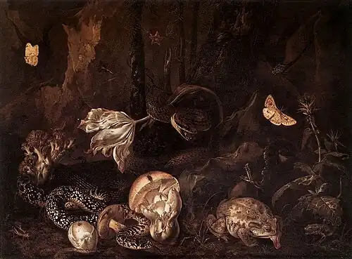 Zátiší s hmyzem, 1662 Herzog Anton Ulrich Museum