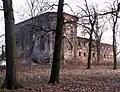 Zřícenina hradu